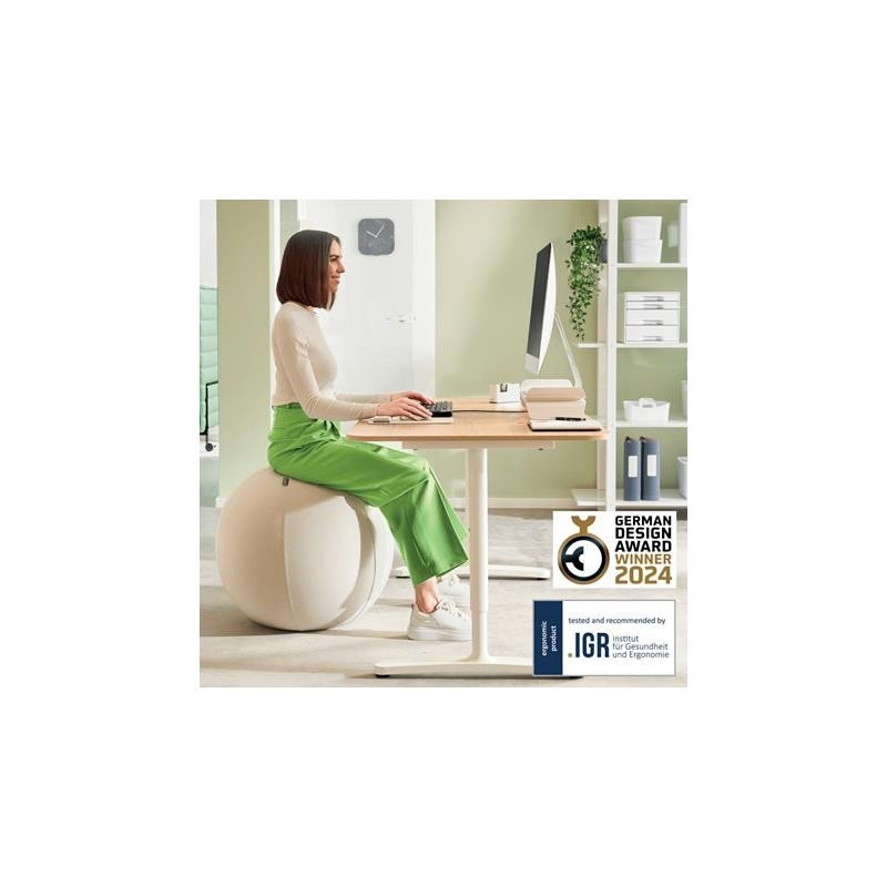 asiento-balon-leitz-antideslizante-ergo-active-75cm-silver-3