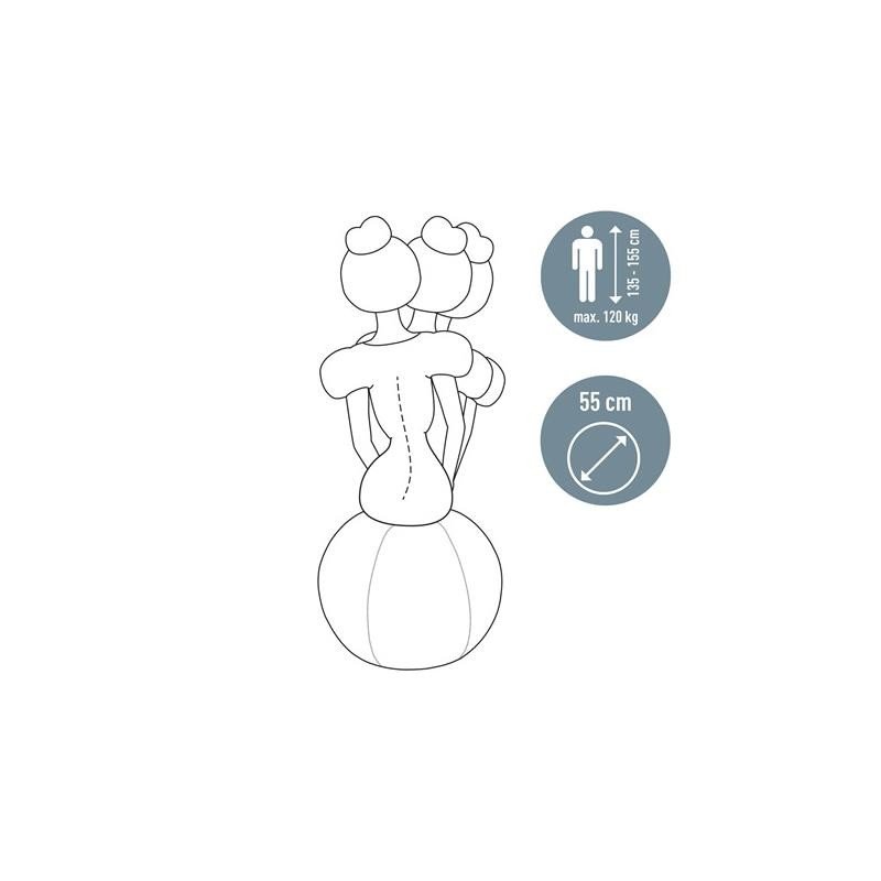 asiento-balon-leitz-antideslizante-ergo-active-75cm-silver-4